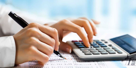 Fiscal